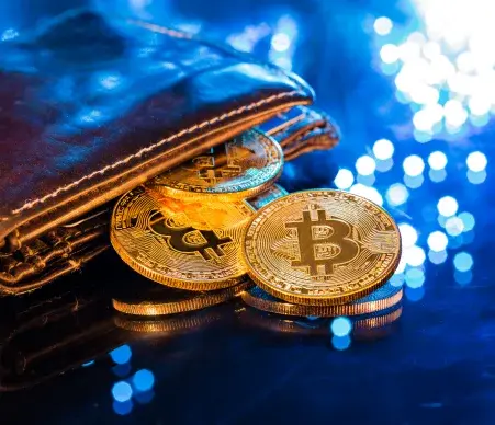 Crypto Wallet & Blockchain Development Service