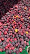 Fresh Falsa – Summer ka Perfect Cool Treat